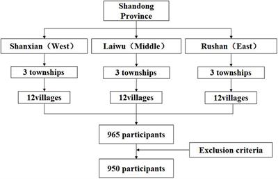 Socioeconomic status and quality of life among older adults with hypertension in rural Shandong, China: a mediating effect of social capital